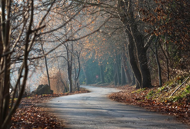 New Year Mental Health Counselling Therapy