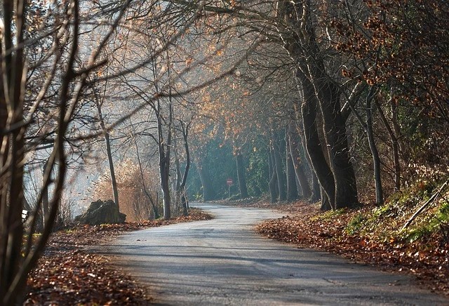 New Year Mental Health Counselling Therapy